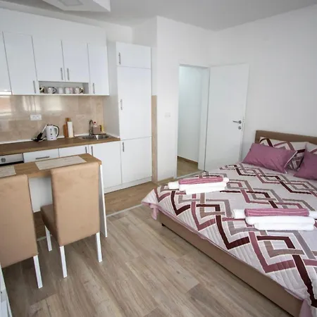 Ljilja Studio Apartman Banja Koviljaca Exterior photo