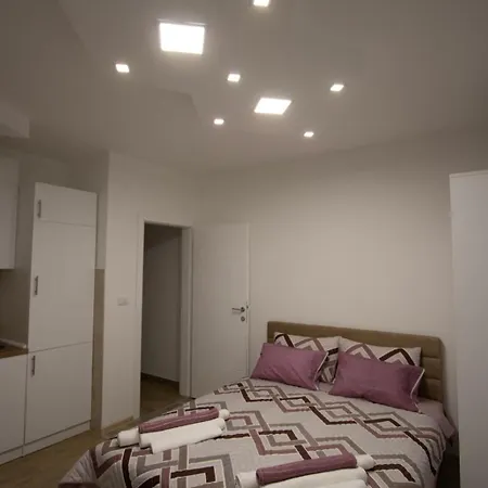 Ljilja Studio Apartman Banja Koviljaca Exterior photo